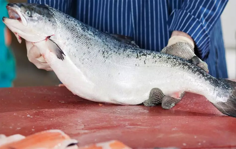 Salmón de piscifactoría, problemas e inconvenientes
