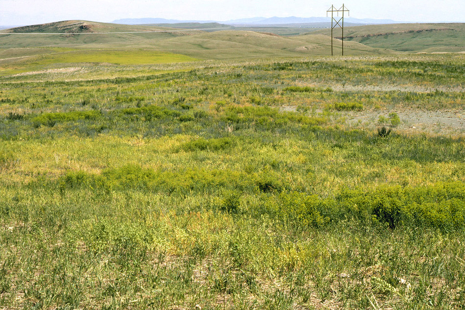 Recuperar las tierras de cultivo abandonadas ayudaría a mejorar la seguridad alimentaria