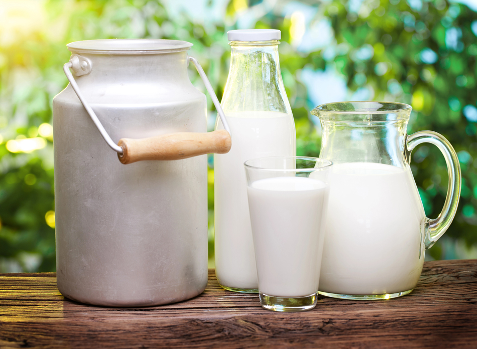 Análisis de la leche entera en España en el año 2024