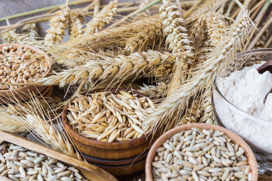Similitud entre la dieta de la antigua Siria y la dieta Mediterranea
