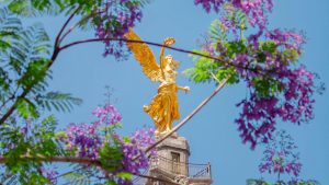 10 lugares tranquilos en la CDMX para sentir que escapas de la ciudad