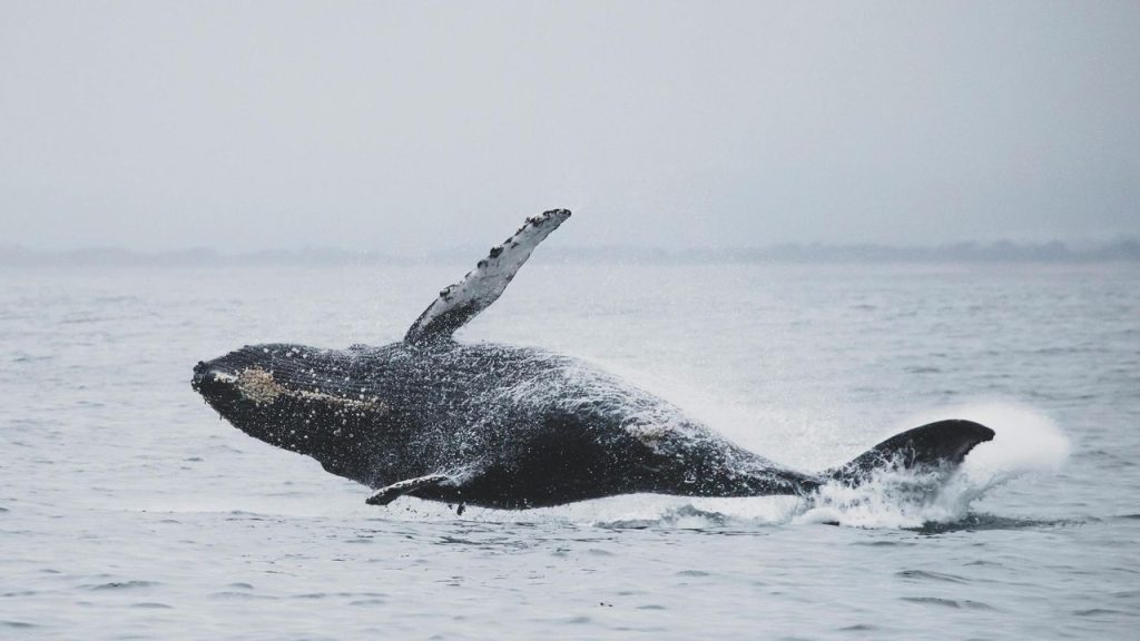 Architectural Digest México y Latinoamérica