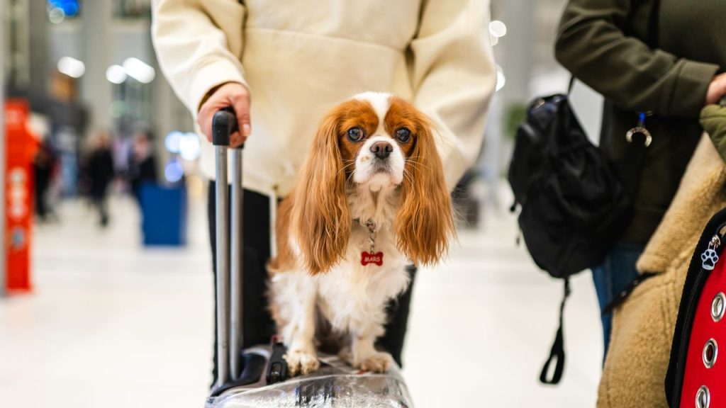 Architectural Digest México y Latinoamérica